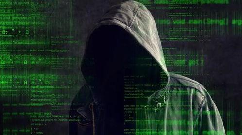 黑客爆料图片最新版,揭秘网络黑幕与隐私危机